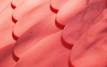 Dittisham plastic roof costs