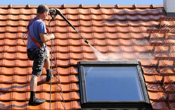 roof cleaning Dittisham, Devon